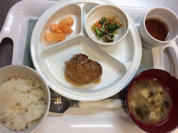 おろしハンバーグ常食