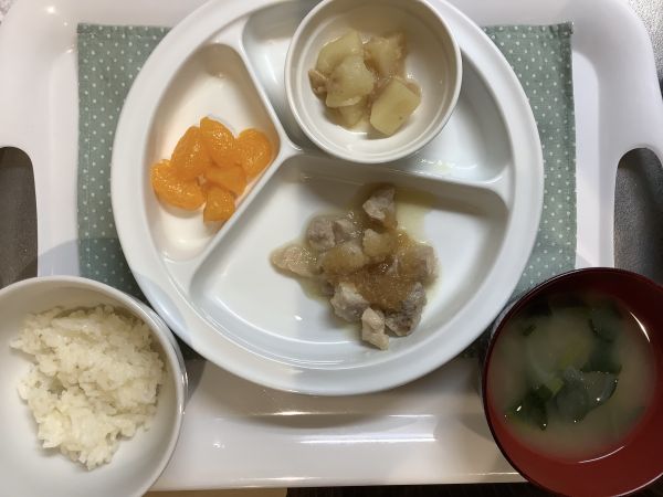 鶏肉のおろしがけ常食