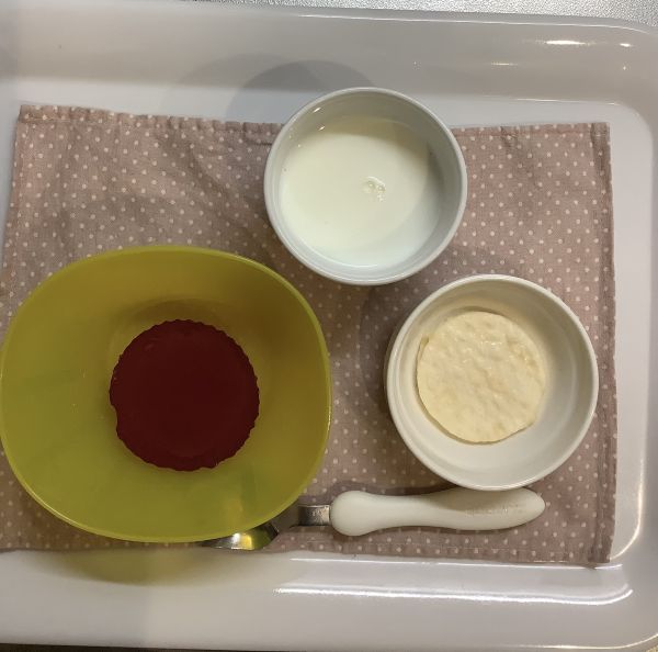 ぶどうゼリー、せんべい常食