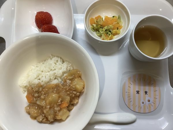 ハヤシライス常食