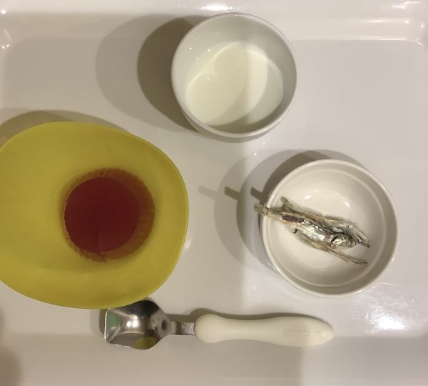 ぶどうゼリー、食べる煮干し常食