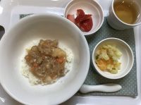 ハヤシライス常食