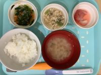 鶏肉と白菜の煮物後期