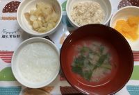 鶏肉のおろしがけ後期