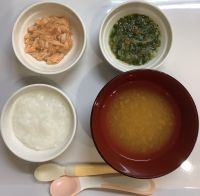 おかゆ、鮭のだし煮（畑のほうれん草、白菜を使っています）、野菜のくず煮、スープ離乳食中期